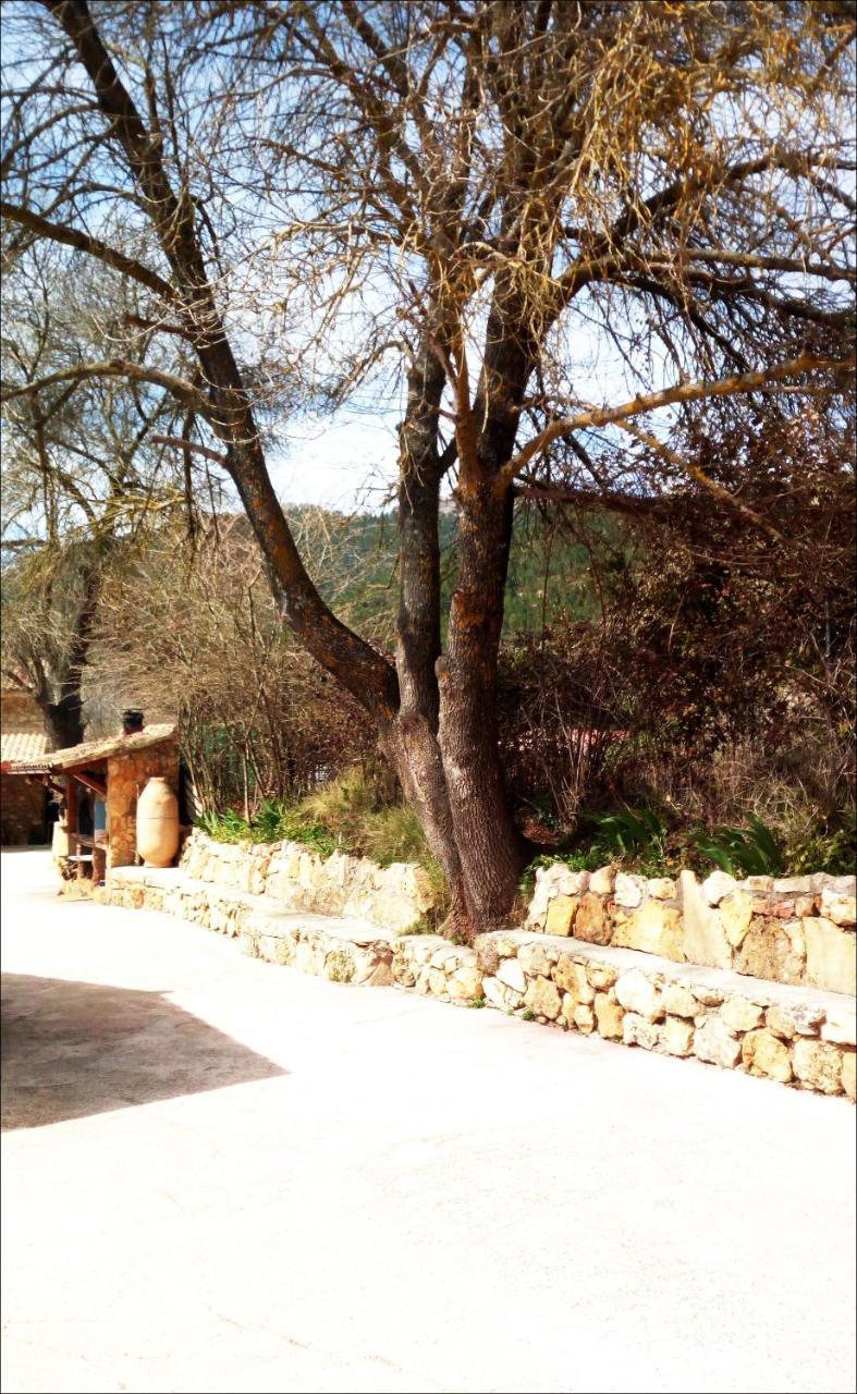 Casas Rurales Picos Del Oso Riópar Esterno foto