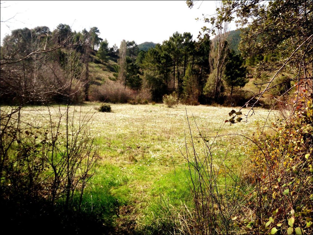 Casas Rurales Picos Del Oso Riópar Esterno foto