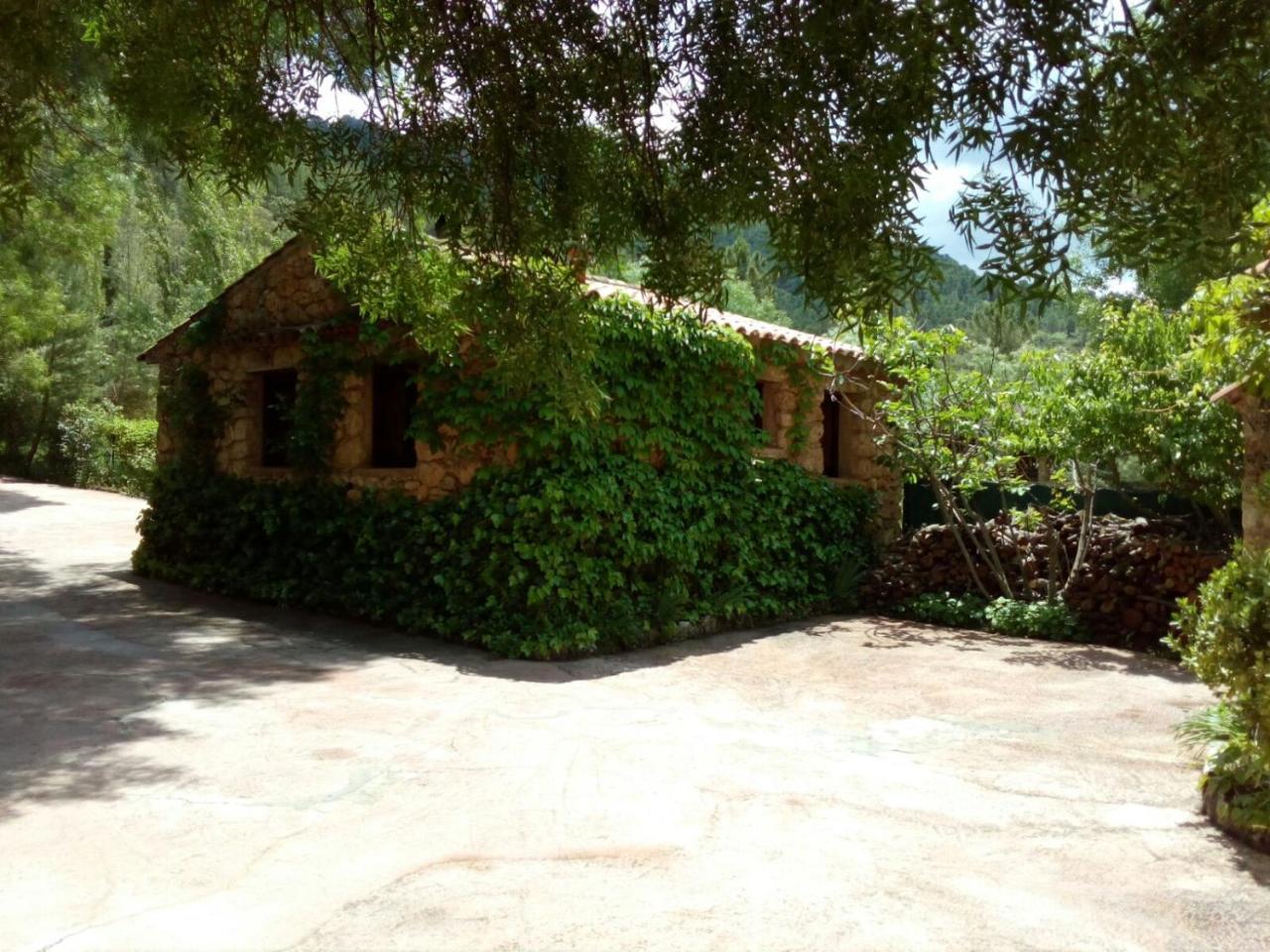 Casas Rurales Picos Del Oso Riópar Esterno foto