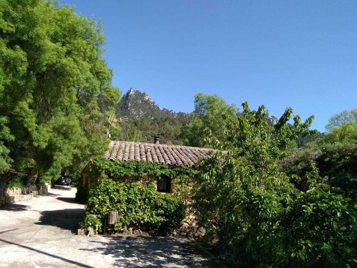 Casas Rurales Picos Del Oso Riópar Esterno foto